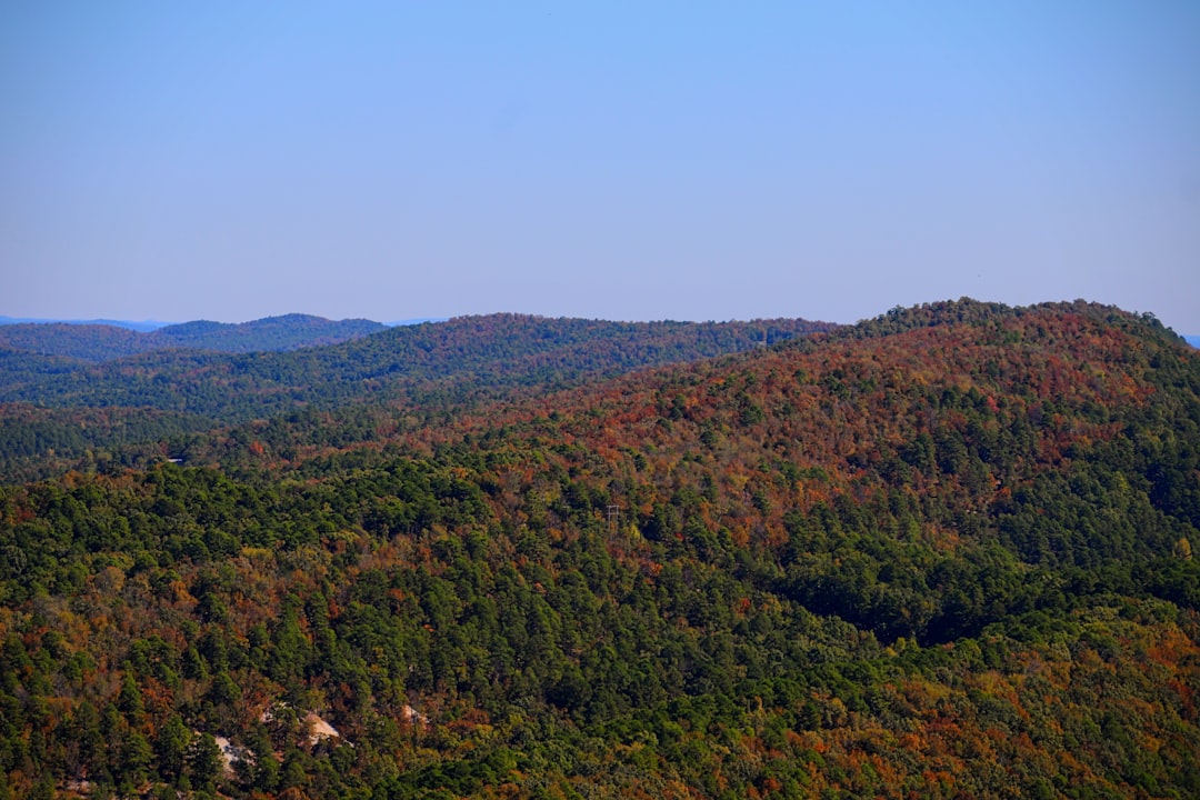 Welcome to Riverside Homeowners Association!